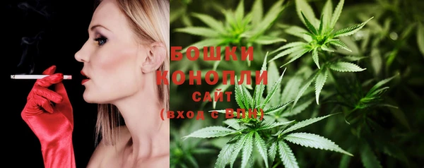 ПСИЛОЦИБИНОВЫЕ ГРИБЫ Армянск